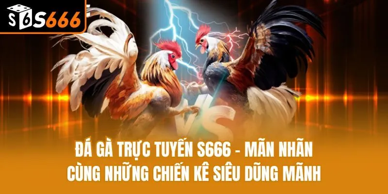Đá Gà Trực Tuyến - Mãn Nhãn Cùng Những Chiến Kê Siêu Dũng Mãnh