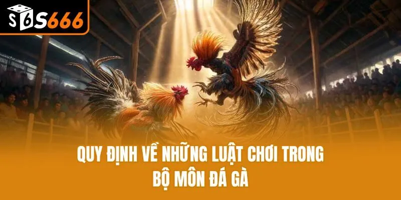 Quy định về những luật chơi trong bộ môn đá gà