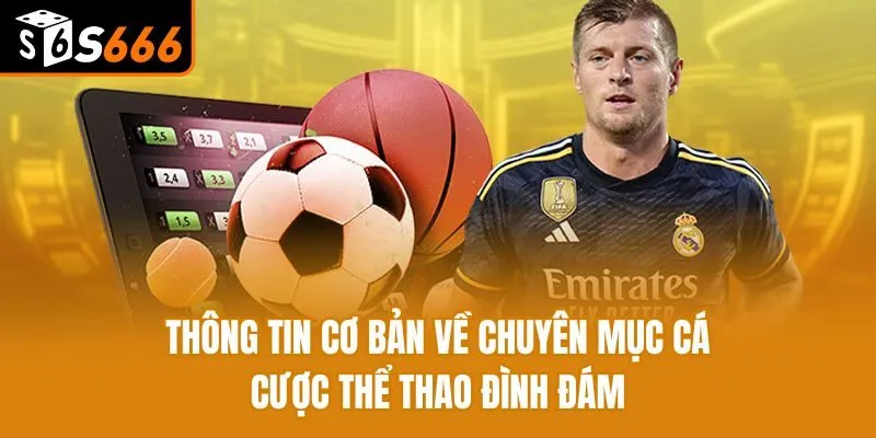 Thông tin cơ bản về chuyên mục cá cược thể thao đình đám
