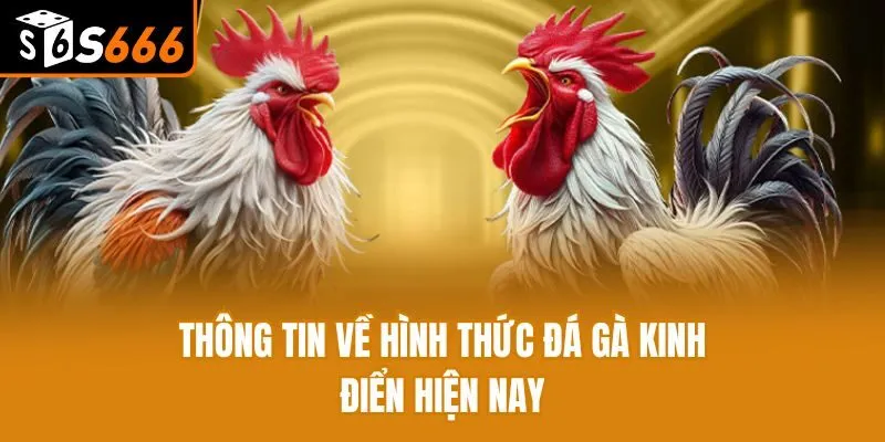 Thông tin về hình thức đá gà chọi kinh điển hiện nay