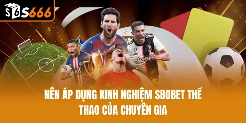 Nên áp dụng kinh nghiệm Sbobet Thể Thao của chuyên gia